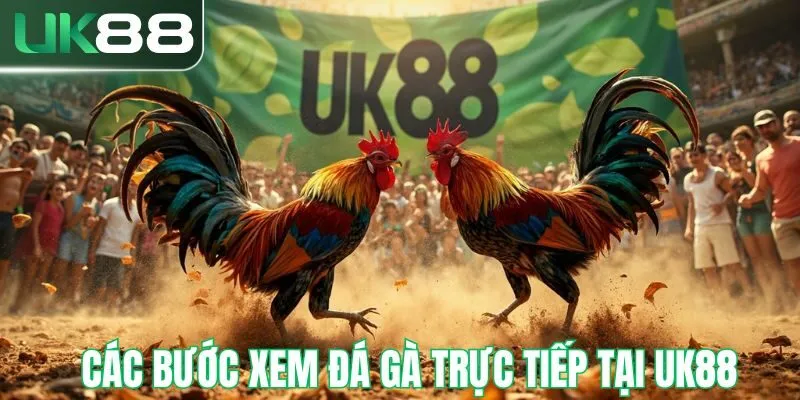 Hướng dẫn các bước xem đá gà trực tiếp tại UK88