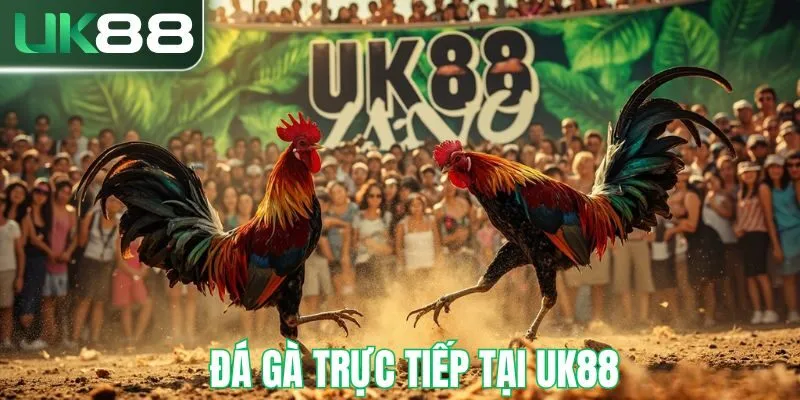 da-ga-truc-tiep-uk88-thurm