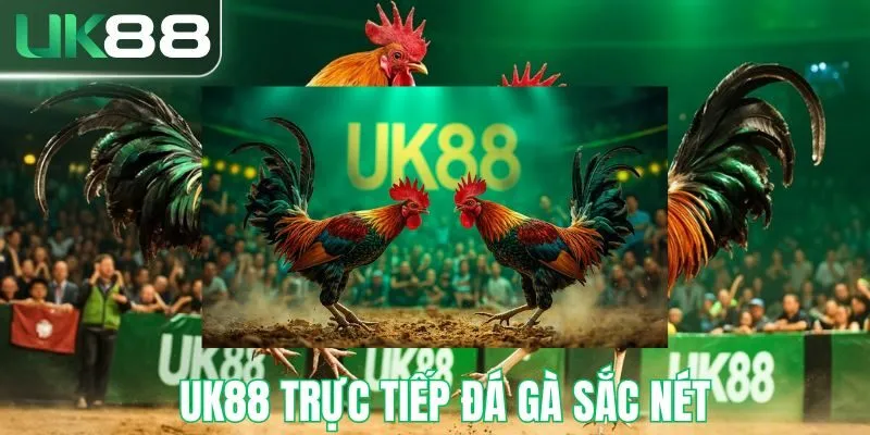 UK88 trực tiếp đá gà sắc nét